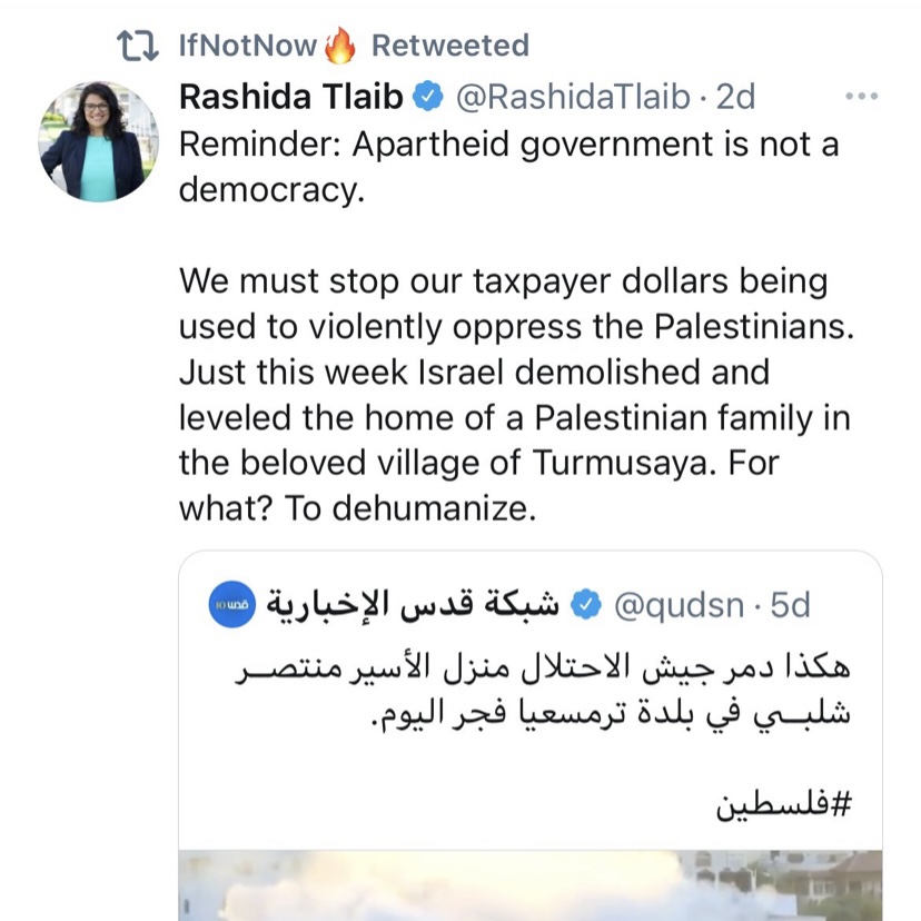 Dear Rashida Apartheid and Rashida Tlaib | Tapfer im Nirgendwo